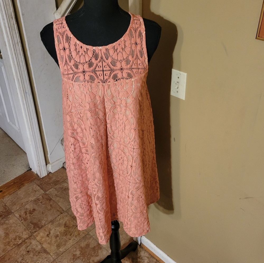 Free People Mauve Lace Slip on Dress